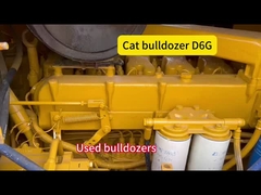 বিড়ালD6G